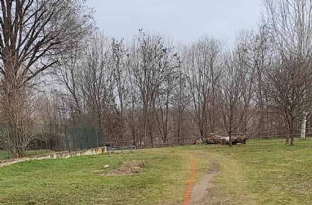 RIVALTA - Palestre all'aperto, si lavora al Parco del Sangone