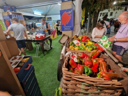 CARMAGNOLA - Ultimo weekend della Fiera del Peperone, il programma