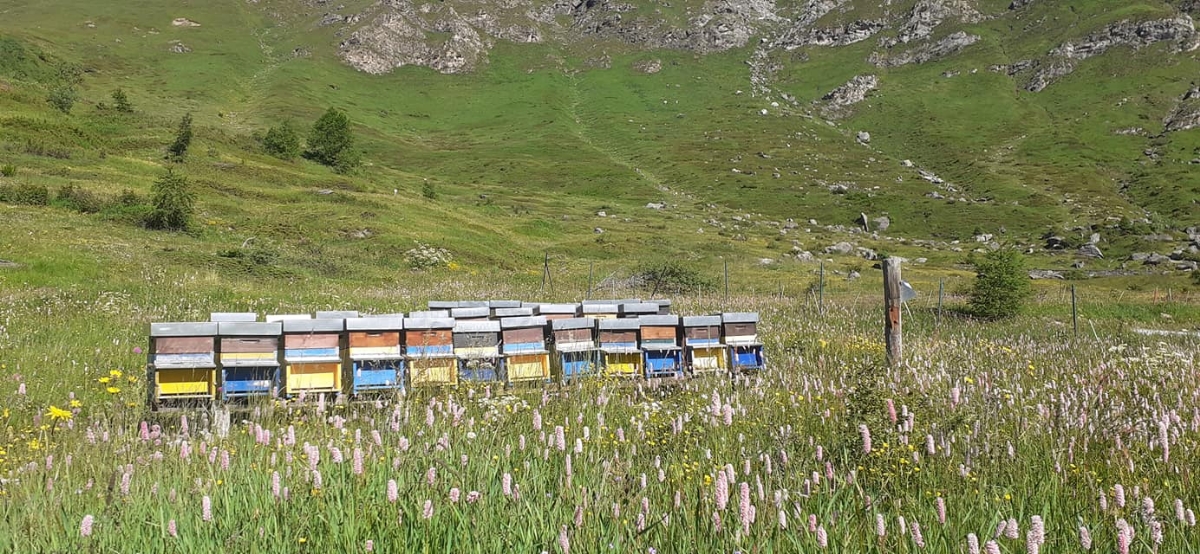 VINOVO - Stefano Zoccolan di Miemole scelto tra i «Maestri del Gusto 2025-26»