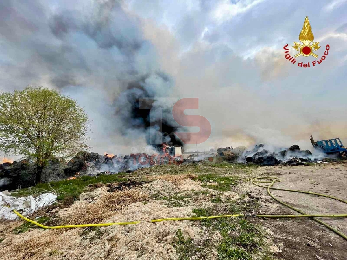 CARMAGNOLA - A fuoco rotoballe di canapa sativa: intervento in forze dei vigili del fuoco in un'azienda - FOTO