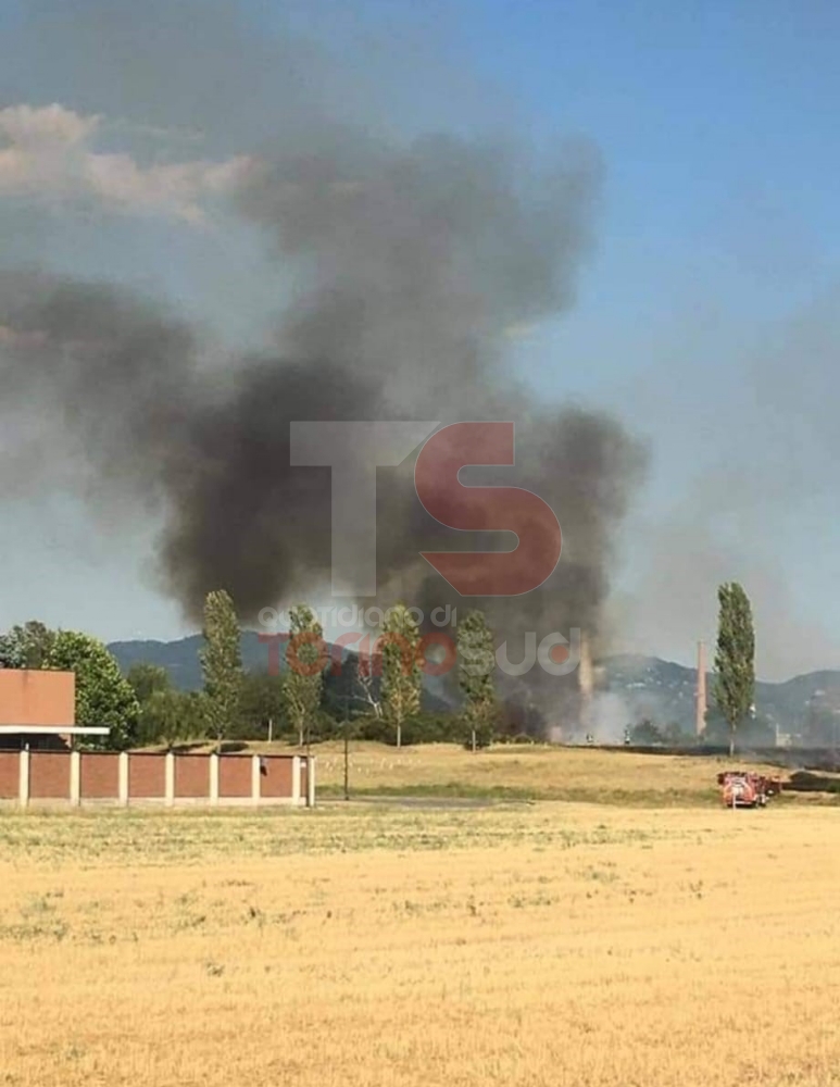 BEINASCO - Vasto incendio devasta i campi e vegetazione al confine con Torino: intervento dei vigili del fuoco - FOTO
