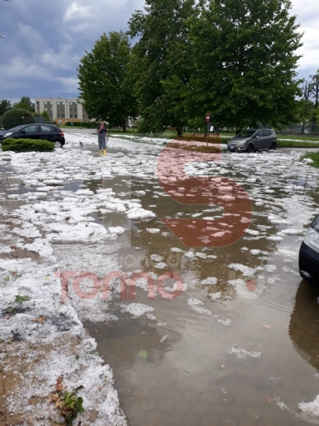 MALTEMPO - Bomba d'acqua e grandine a Moncalieri, strade imbiancate e alberi abbattuti - FOTO E VIDEO