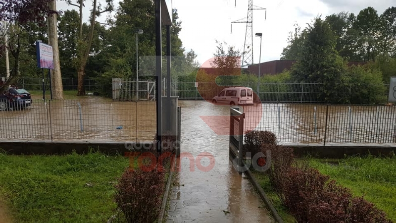 MALTEMPO - Bomba d'acqua e grandine a Moncalieri, strade imbiancate e alberi abbattuti - FOTO E VIDEO