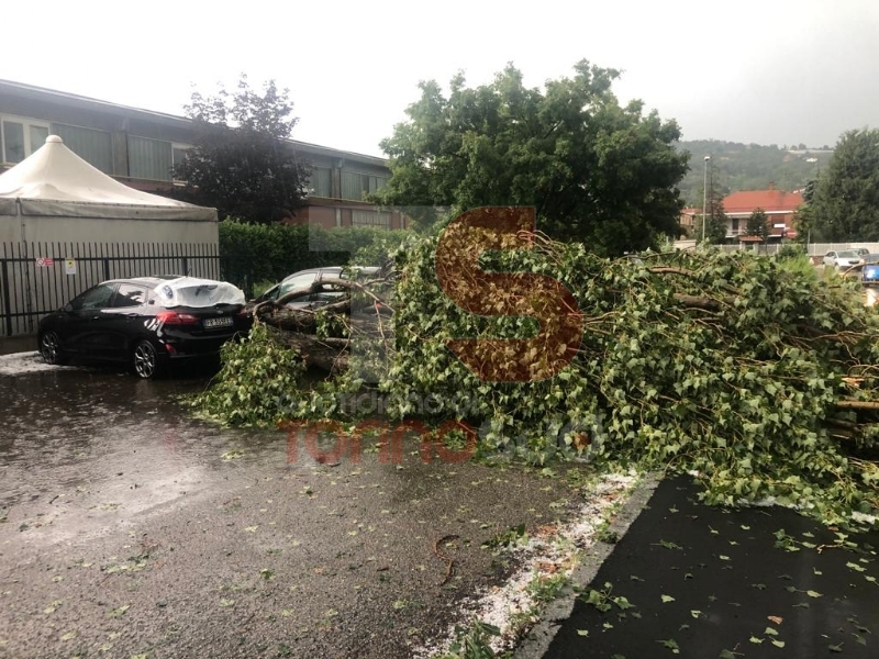 MALTEMPO - Bomba d'acqua e grandine a Moncalieri, strade imbiancate e alberi abbattuti - FOTO E VIDEO