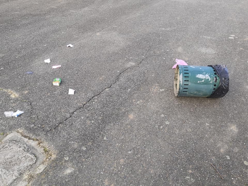ORBASSANO - Passano il sabato sera a sfasciare i cestini dei rifiuti del parco dell'Orca Gialla