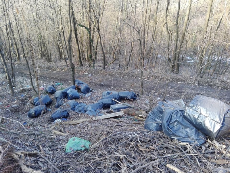 MONCALIERI - Invasione di rifiuti in collina: il bosco come una discarica