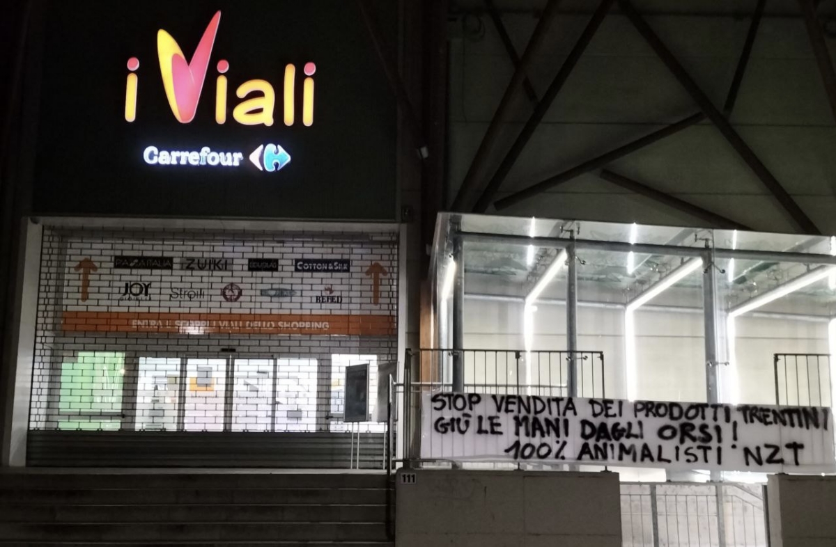 NICHELINO - Striscioni in difesa degli orsi del Trentino affissi dagli animalisti di fronte ai supermercati