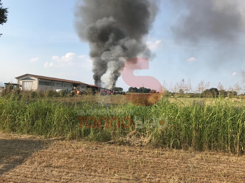 VINOVO - Incendio in un'azienda agricola: a fuoco un magazzino di stoccaggio - FOTO