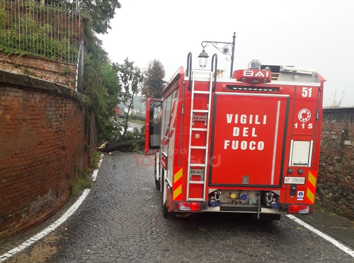 MONCALIERI-BEINASCO - Forte temporale, alberi abbattuti dal vento e sottopassi allagati. Intervengono i vigili del fuoco