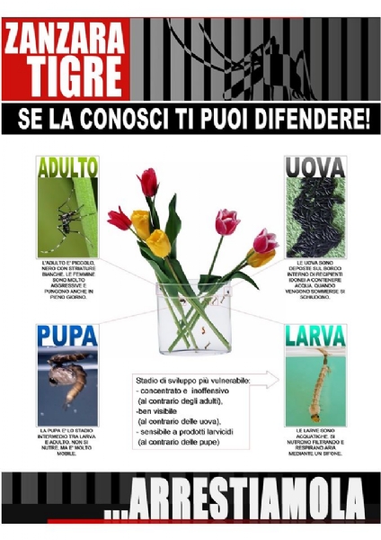 CARMAGNOLA - Il Comune sceglie la linea dura per combattere le zanzare