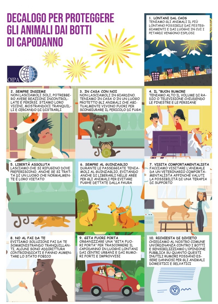 TORINO SUD - Botti di capodanno, pericolo per gli animali: il decalogo dell'Oipa per proteggerli