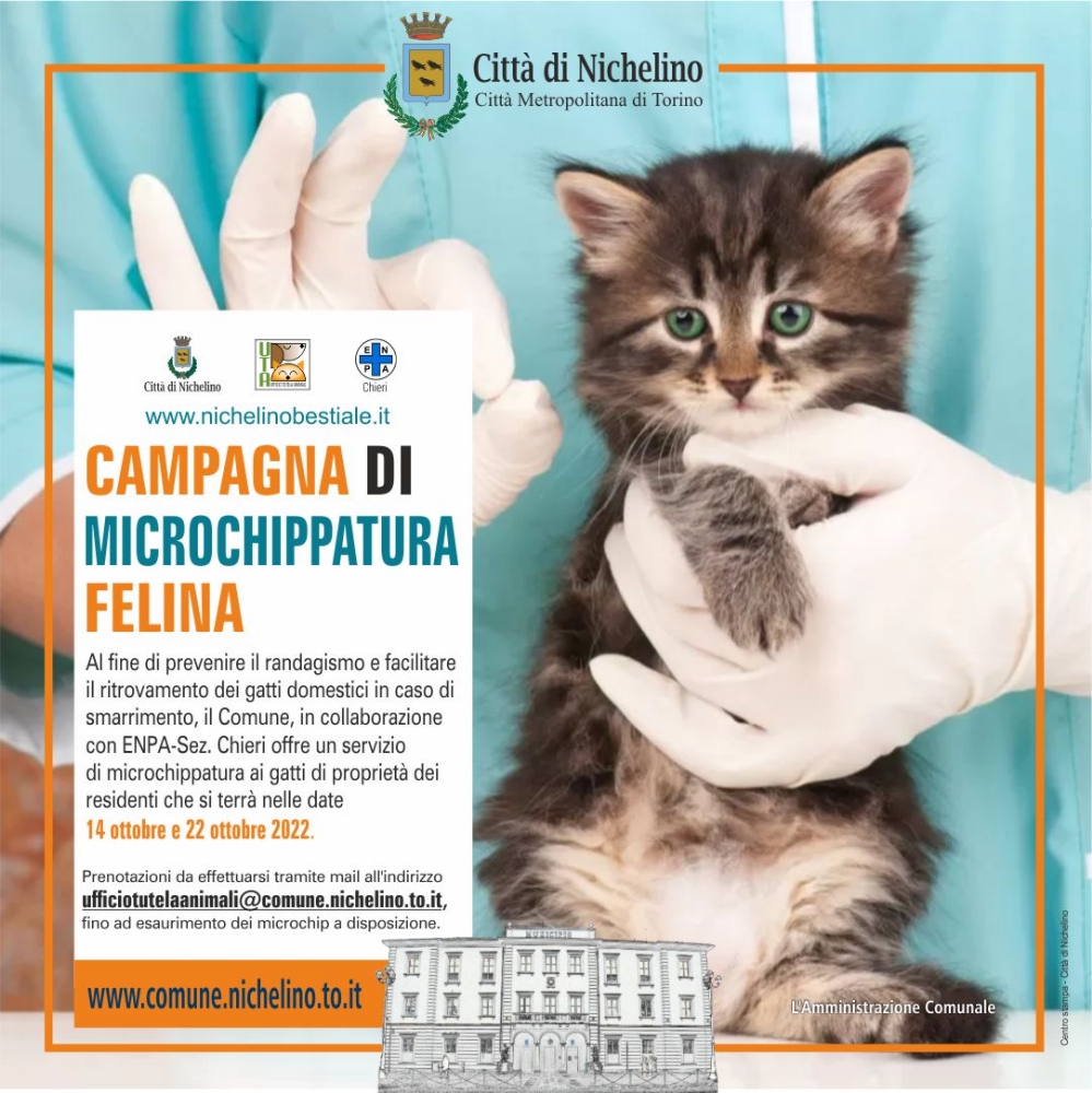 NICHELINO - Il Comune regala il microchip ai gatti domestici per evitare abbandoni e smarrimenti