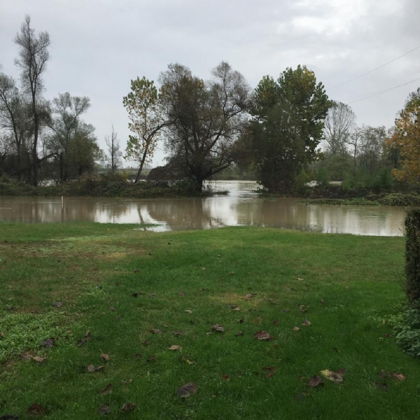 IL PO FA PAURA - A Moncalieri ha già superato il livello di guardia. Chiuso il parco di lungo Po Abellonio