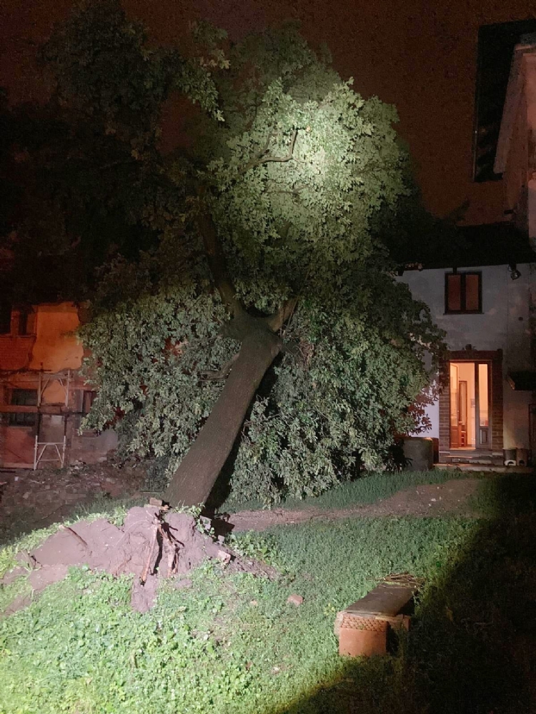 TROMBA D'ARIA - In campo anche i trattori per rimuovere le centinaia di alberi caduti - LE FOTO -