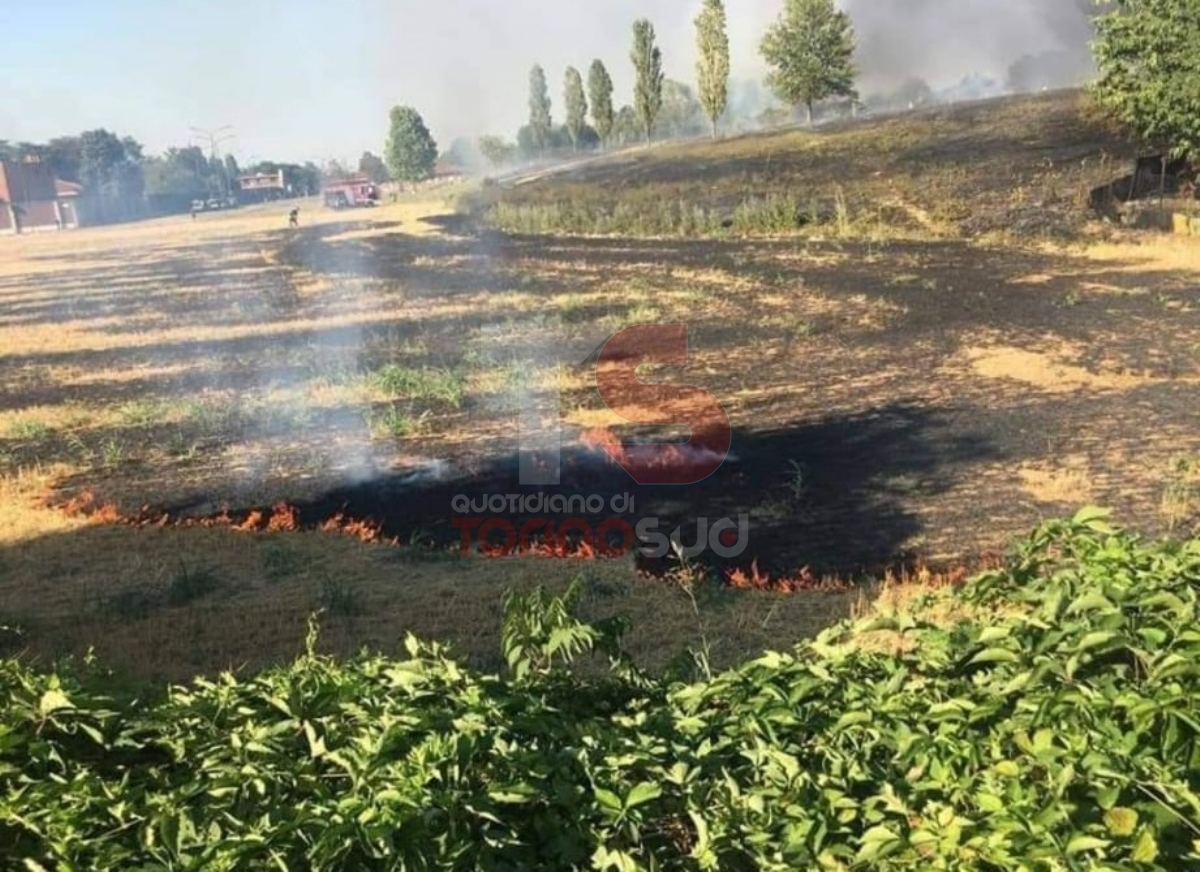 BEINASCO - Vasto incendio devasta i campi e vegetazione al confine con Torino: intervento dei vigili del fuoco - FOTO