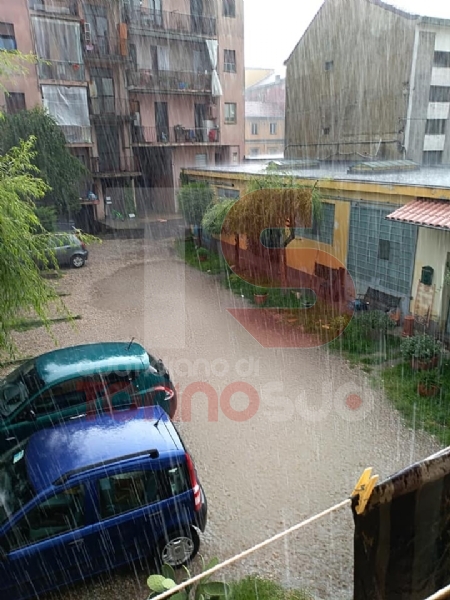 MALTEMPO - Bomba d'acqua e grandine a Moncalieri, strade imbiancate e alberi abbattuti - FOTO E VIDEO