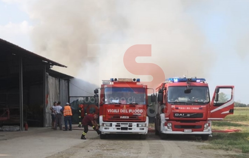 VINOVO - Incendio in un'azienda agricola: a fuoco un magazzino di stoccaggio - FOTO
