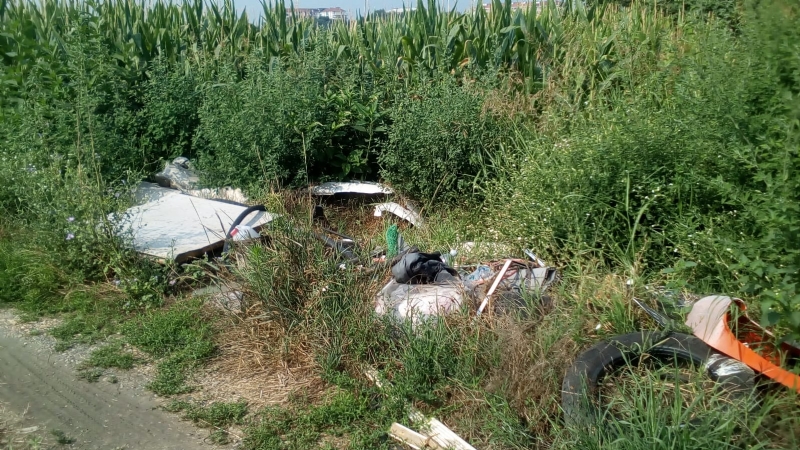 MONCALIERI - Maiali in azione: discarica abusiva con fusti di sostanze pericolose