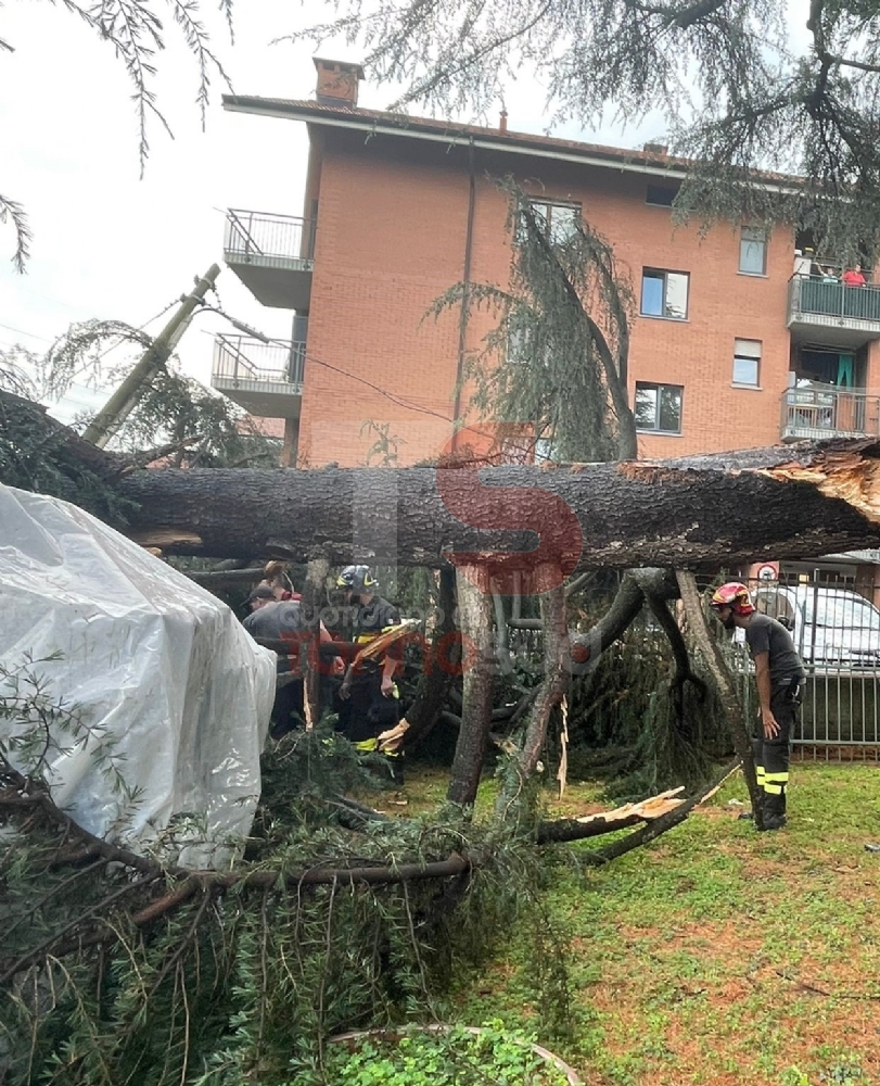 MONCALIERI-BEINASCO - Forte temporale, alberi abbattuti dal vento e sottopassi allagati. Intervengono i vigili del fuoco