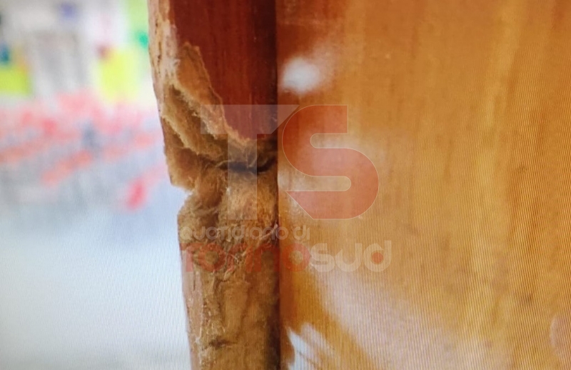 NICHELINO - Vandali in azione alla scuola Manzoni: indagano i carabinieri