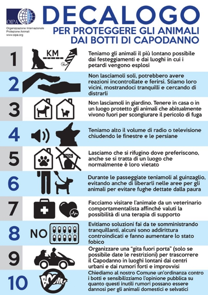 TORINO SUD - Botti di capodanno, pericolo per gli animali: il decalogo dell'Oipa per proteggerli