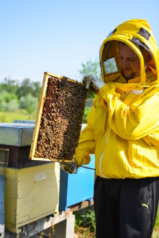 VINOVO - Stefano Zoccolan di Miemole scelto tra i «Maestri del Gusto 2025-26»