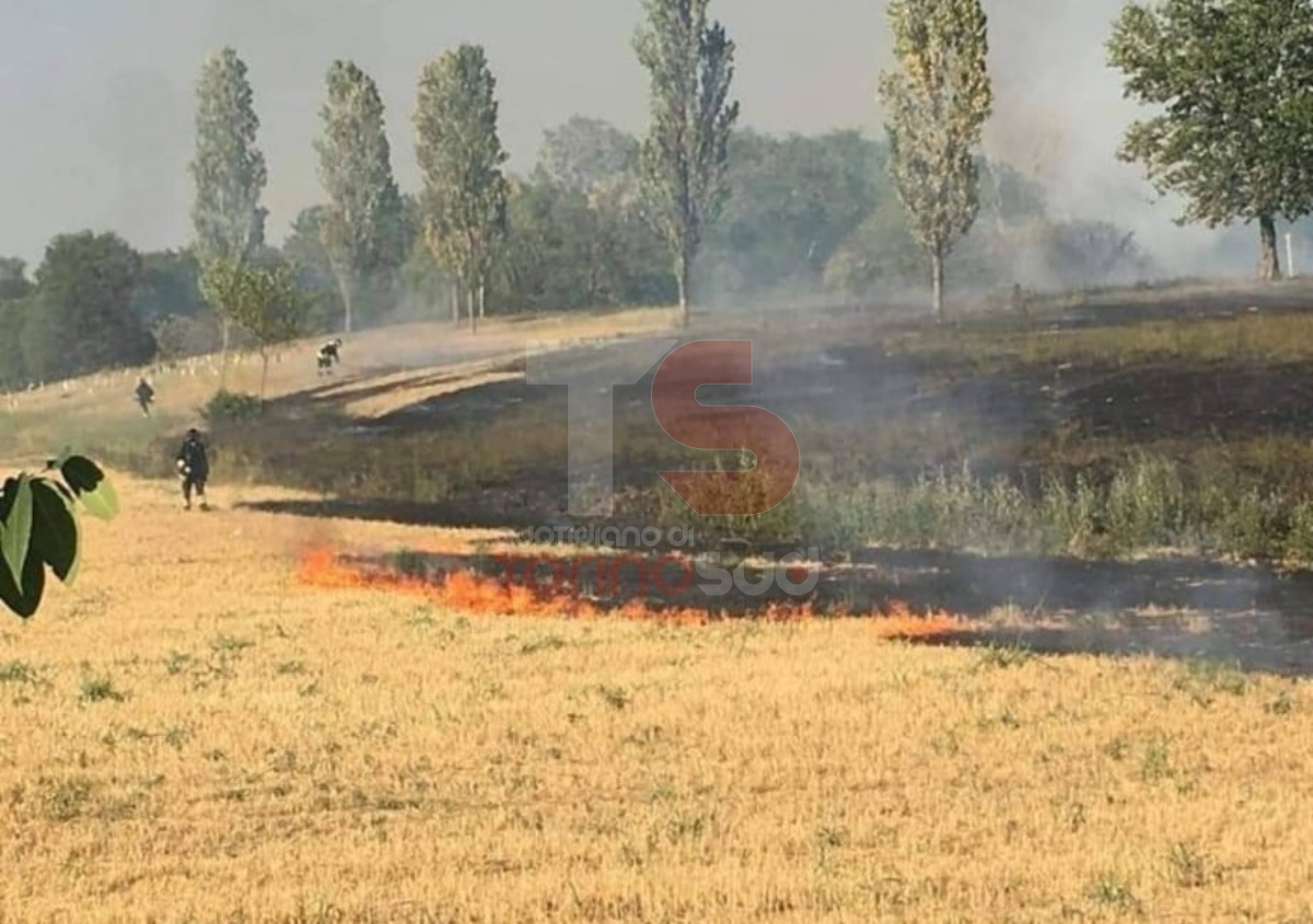 BEINASCO - Vasto incendio devasta i campi e vegetazione al confine con Torino: intervento dei vigili del fuoco - FOTO