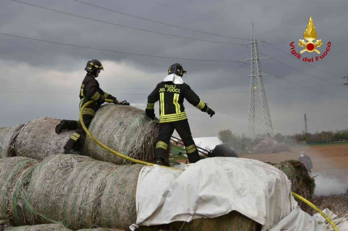 CARMAGNOLA - A fuoco rotoballe di canapa sativa: intervento in forze dei vigili del fuoco in un'azienda - FOTO
