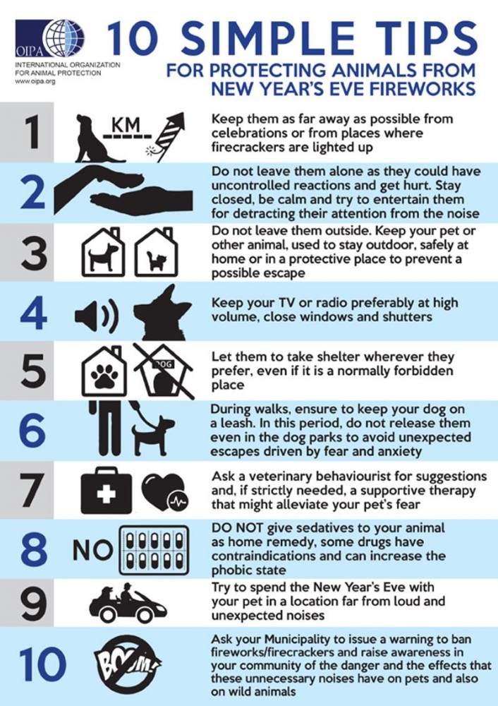 TORINO SUD - Botti di capodanno, pericolo per gli animali: il decalogo dell'Oipa per proteggerli