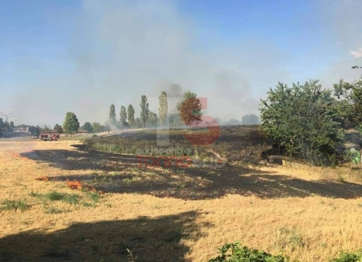 BEINASCO - Vasto incendio devasta i campi e vegetazione al confine con Torino: intervento dei vigili del fuoco - FOTO