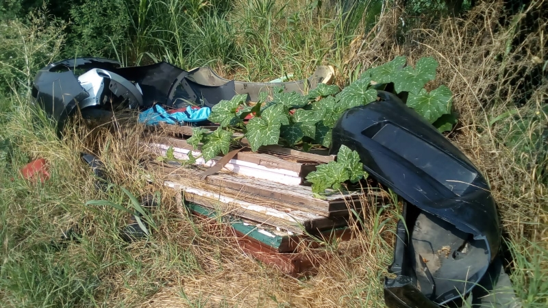 MONCALIERI - Maiali in azione: discarica abusiva con fusti di sostanze pericolose