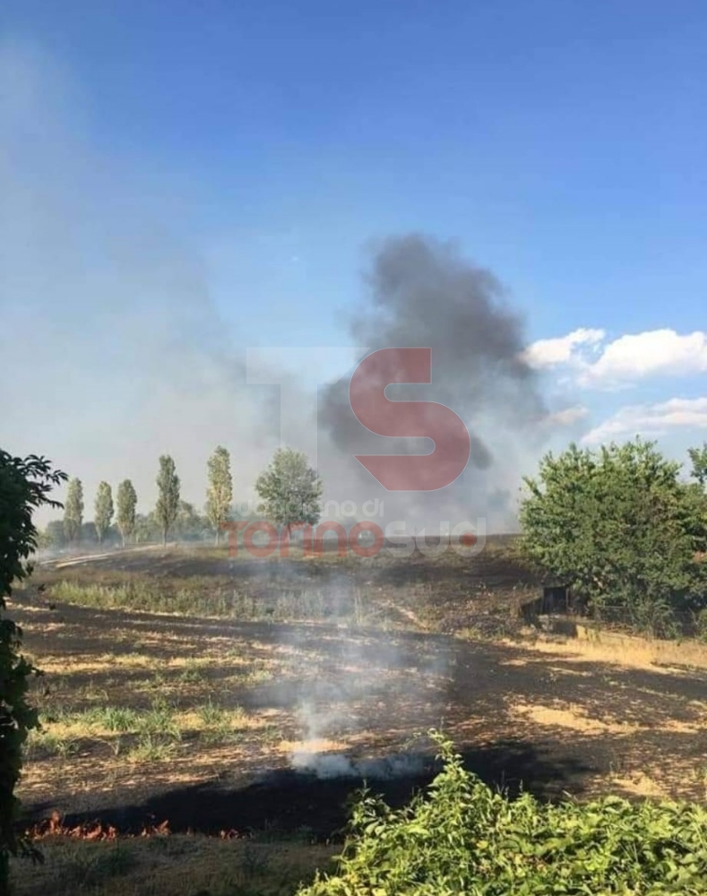 BEINASCO - Vasto incendio devasta i campi e vegetazione al confine con Torino: intervento dei vigili del fuoco - FOTO