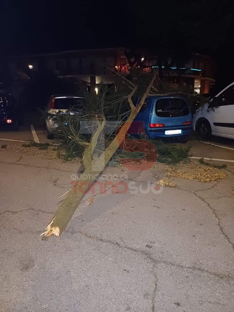 TORINO SUD - Notte di paura per il forte vento: case scoperchiate, impalcature crollate e alberi caduti - FOTO