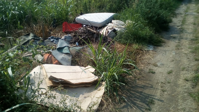 MONCALIERI - Maiali in azione: discarica abusiva con fusti di sostanze pericolose