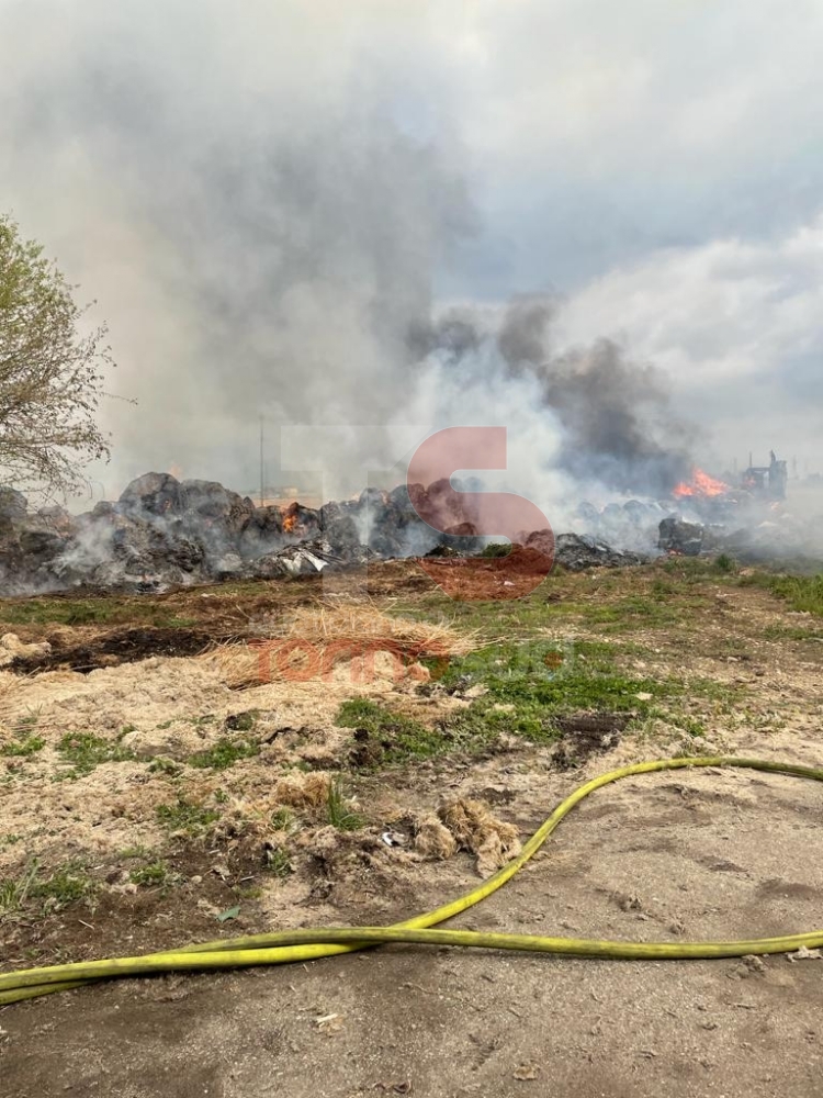 CARMAGNOLA - A fuoco rotoballe di canapa sativa: intervento in forze dei vigili del fuoco in un'azienda - FOTO