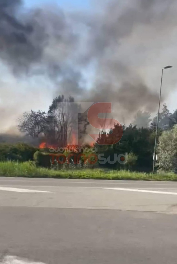 BEINASCO - Vasto incendio devasta i campi e vegetazione al confine con Torino: intervento dei vigili del fuoco - FOTO
