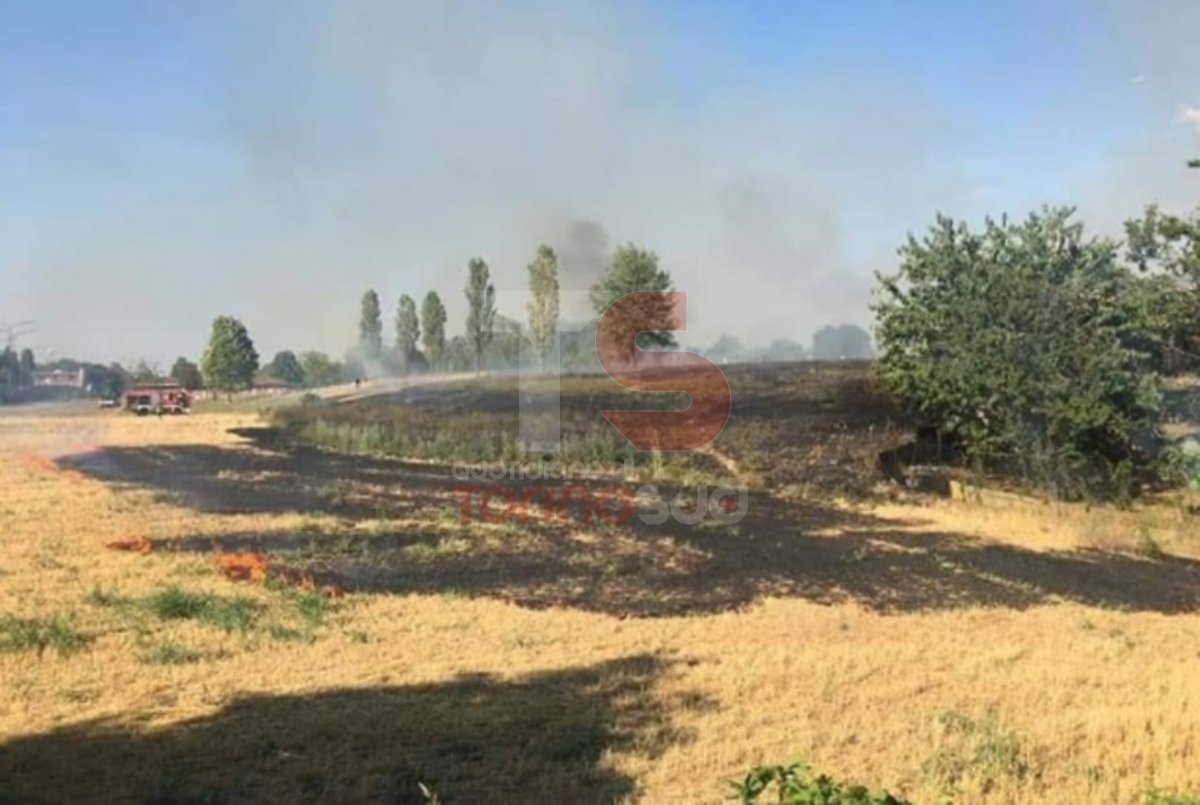 BEINASCO - Vasto incendio devasta i campi e vegetazione al confine con Torino: intervento dei vigili del fuoco - FOTO