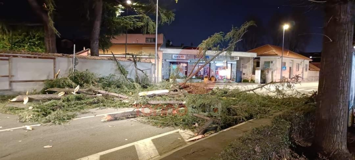 TORINO SUD - Notte di paura per il forte vento: case scoperchiate, impalcature crollate e alberi caduti - FOTO