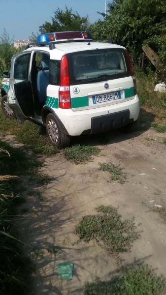 MONCALIERI - Maiali in azione: discarica abusiva con fusti di sostanze pericolose