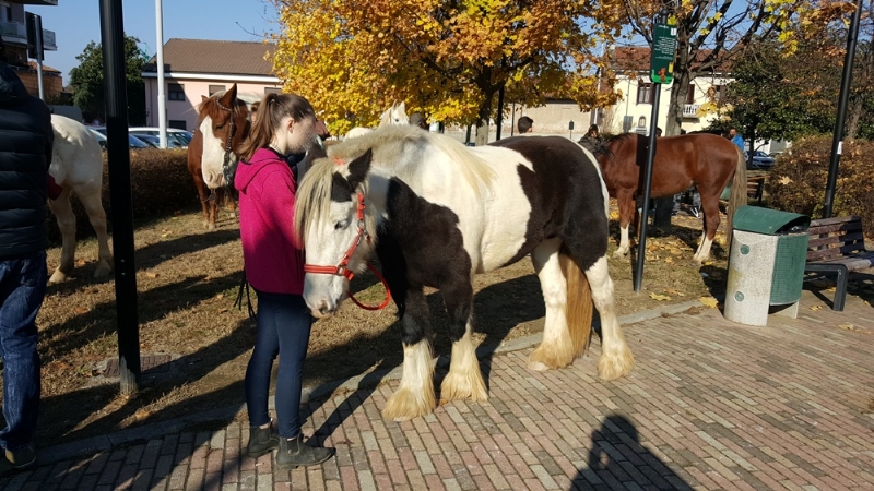 LA LOGGIA - «Gli animali hanno il soffio vitale e andranno in Paradiso»