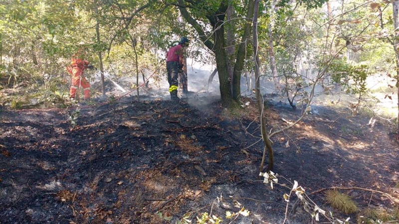 PIOSSASCO - Nuovo incendio sul monte San Giorgio. Vigili del fuoco e squadra Aib in azione