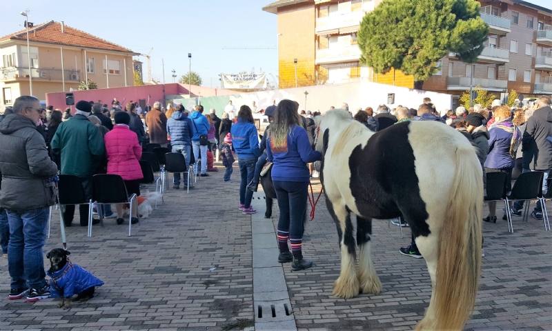 LA LOGGIA - «Gli animali hanno il soffio vitale e andranno in Paradiso»