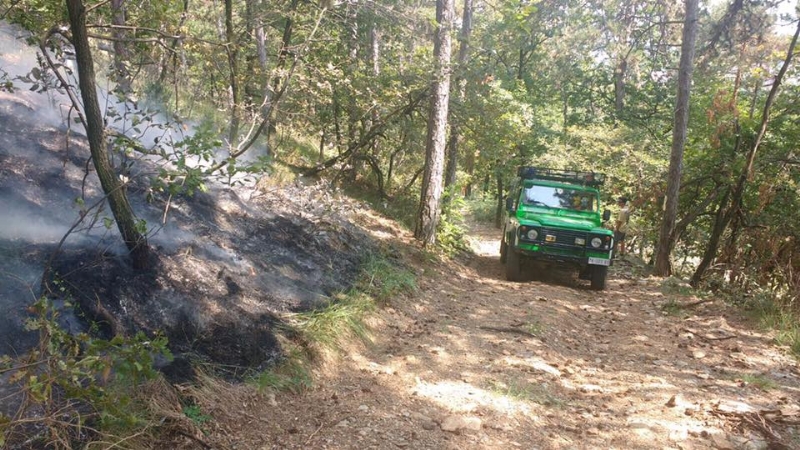 PIOSSASCO - Nuovo incendio sul monte San Giorgio. Vigili del fuoco e squadra Aib in azione