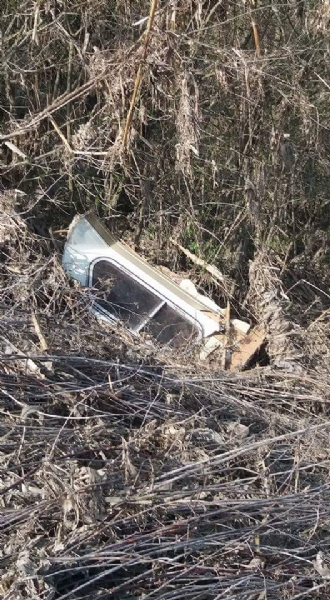 CARMAGNOLA - Il parco del Gerbasso è una discarica a cielo aperto