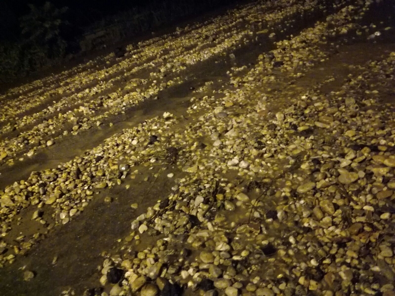 Tromba d'aria sul territorio: capannoni scoperchiati, auto fuori strada e strade allagate - VIDEO E FOTO -