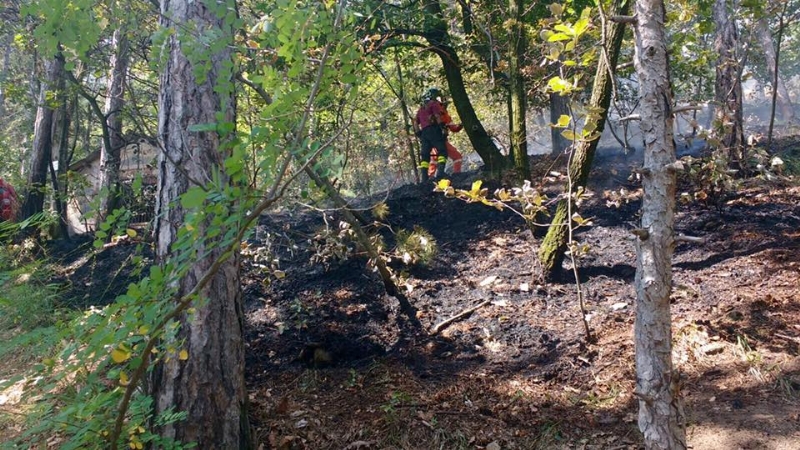 PIOSSASCO - Nuovo incendio sul monte San Giorgio. Vigili del fuoco e squadra Aib in azione