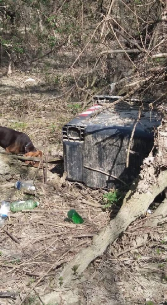 CARMAGNOLA - Il parco del Gerbasso è una discarica a cielo aperto