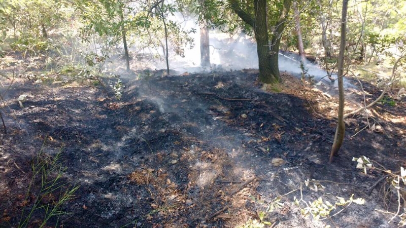 PIOSSASCO - Nuovo incendio sul monte San Giorgio. Vigili del fuoco e squadra Aib in azione