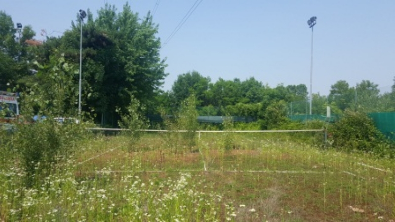 SANGANO - L'associazione carabinieri si insedia nella villa confiscata dal Tribunale