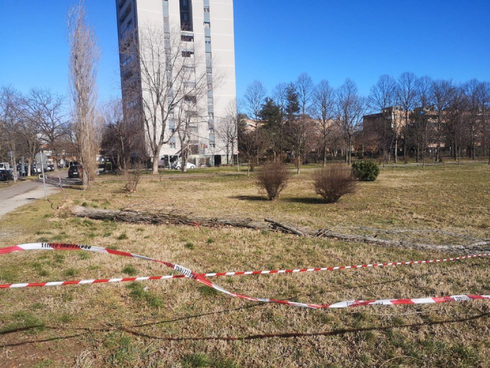 VENTO FORTE - Decine di interventi dei vigili del fuoco: alberi caduti a Nichelino e Beinasco